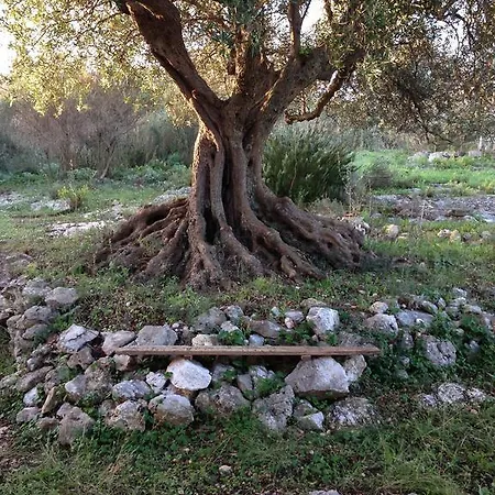 The Italian's House בית נופש